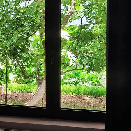 Ivan-experience Elite