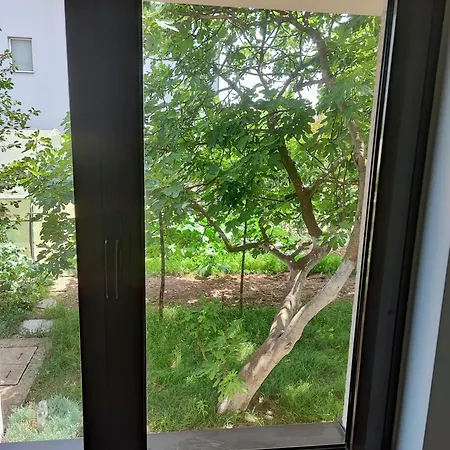 Ivan-experience Elite * Ljubuški